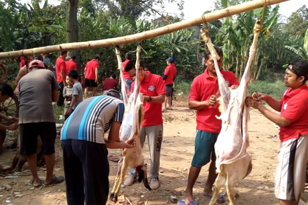 Semarak Kurban PAC LDII Pejaten Timur