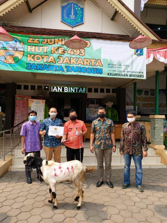 Pengurus PAC LDII Bintaro Serahkan Kambing Kurban ke Kelurahan Bintaro 3