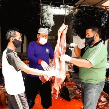 Pandemi Covid-19 Jumlah hewan Kurban Justru Meningkat LDII